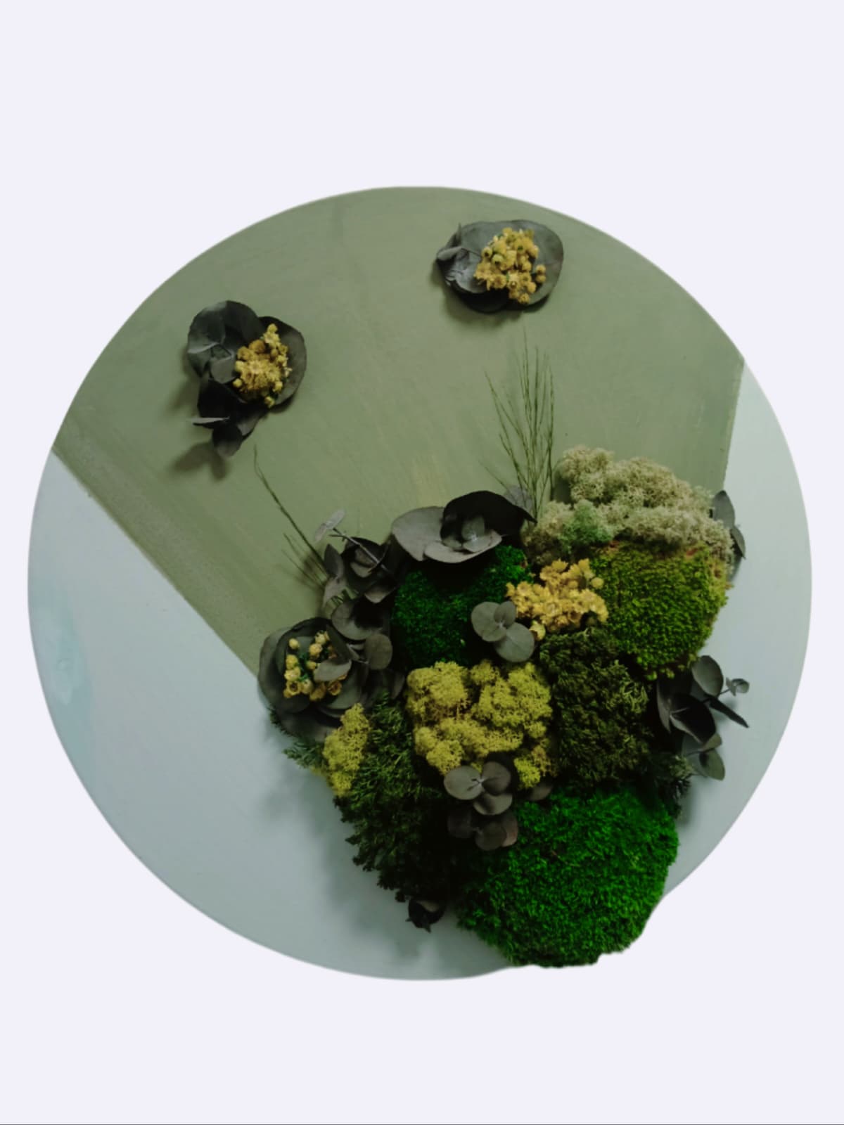 Tablou Rotund Din Muschi Licheni Si Plante Stabilizate Pe Panza