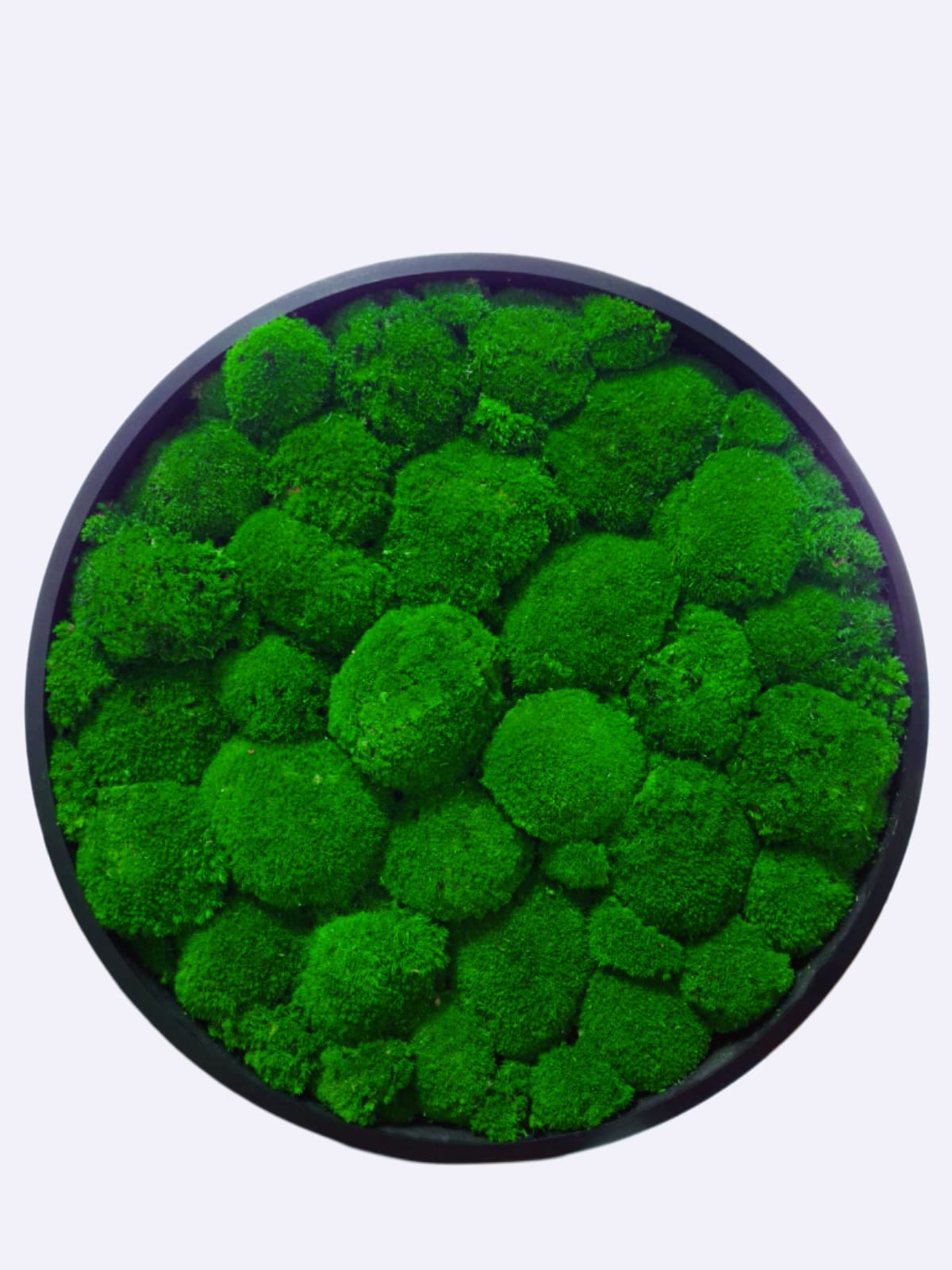 Tablou Rotund Din Muschi Bombat Verde